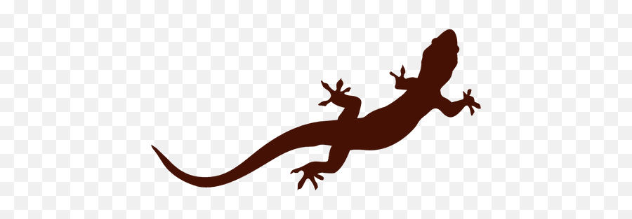 Iguana Pet Silhouette - Iguana Silhouette Png,Iguana Png