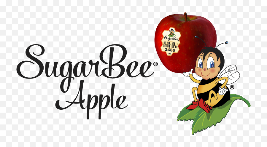 Chelan Fresh Sugarbee Apples The Story - Sugar Bee Apple Jpg Png,Cool Apple Logo