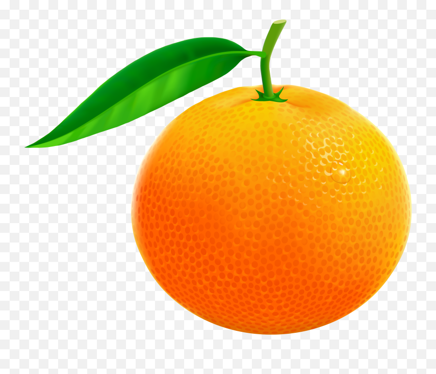 Free Orange Png Download Clip Art - Clipart Of Orange,Orange Png