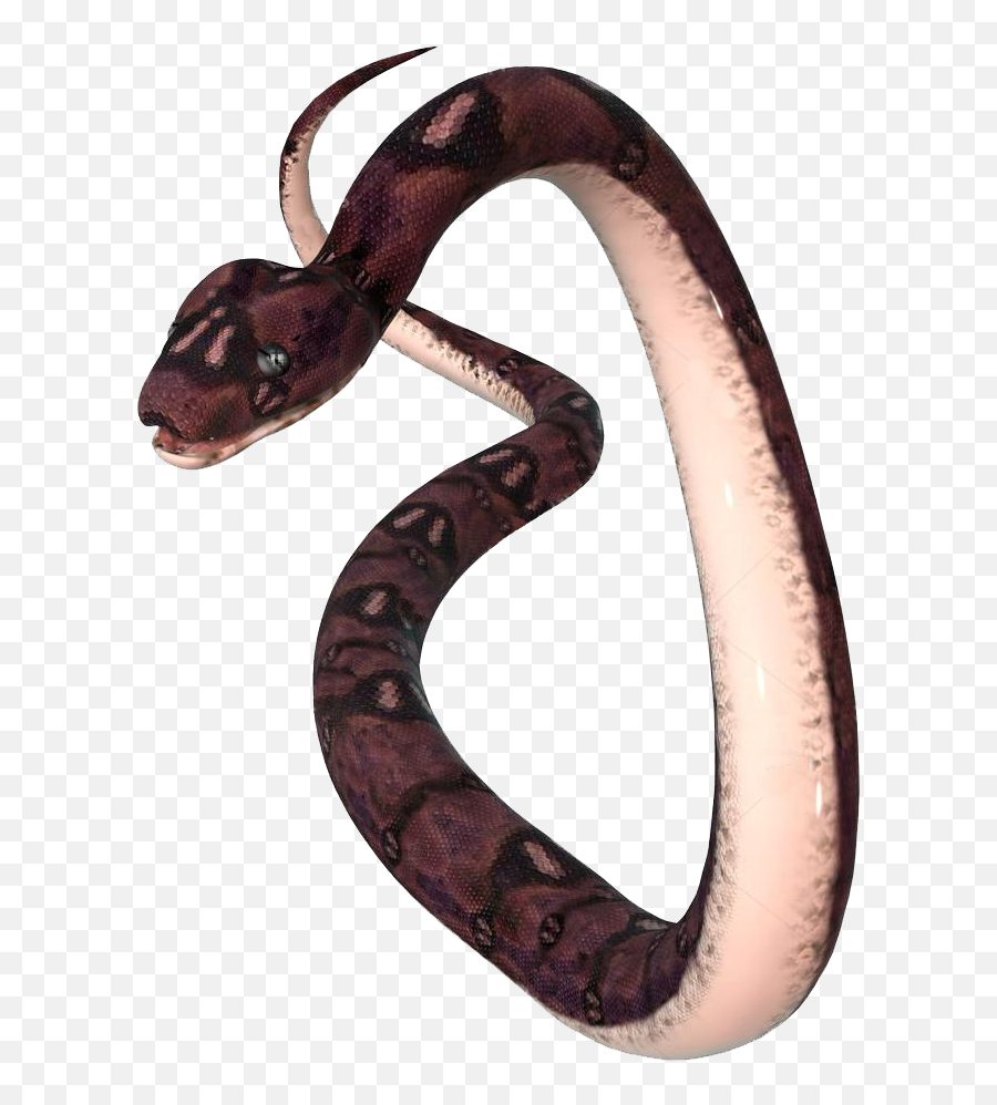 Download Transparent Anaconda Png - Anaconda Png,Anaconda Png