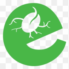 Discovery Garden Family Partnership - Root Illustration png