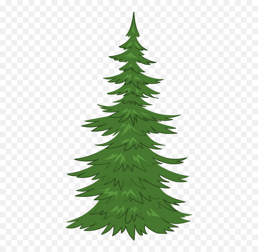 Evergreen Tree Clipart - Pine Tree Clipart Png,Evergreen Trees Png