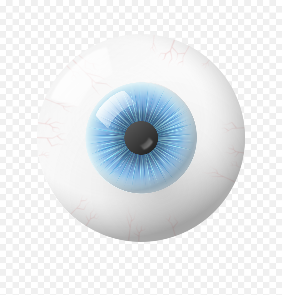 Eye Iris Globe - Free Image On Pixabay Circle Png,Eye Ball Png
