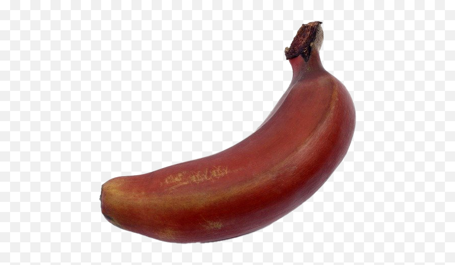 Red Banana Png U0026 Free Bananapng Transparent Images - Big Red Banana,Banana Transparent Background