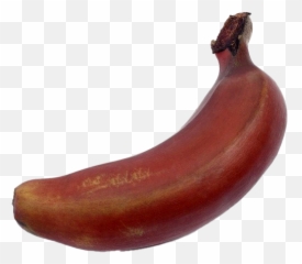 Red Banana Png U0026 Free Bananapng Transparent Images - Big