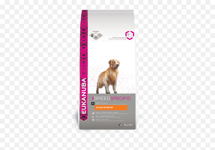 Eukanuba Golden Retriever 12kg - Eukanuba Golden Retriever Png,Golden Retriever Png