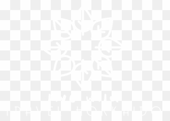 Adventure - Daisy Color Decal png