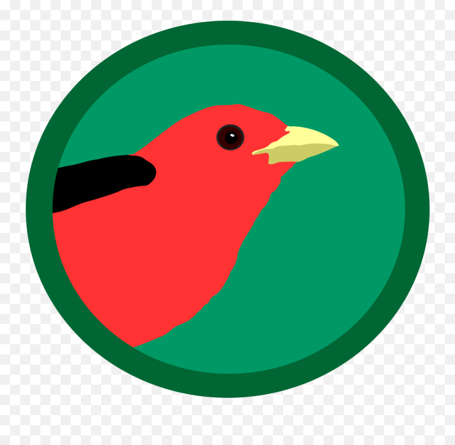 About U2014 Exploring Birds - Illustration Png,Eb Logo