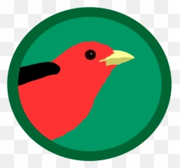 About U2014 Exploring Birds - Illustration Png,Eb Logo