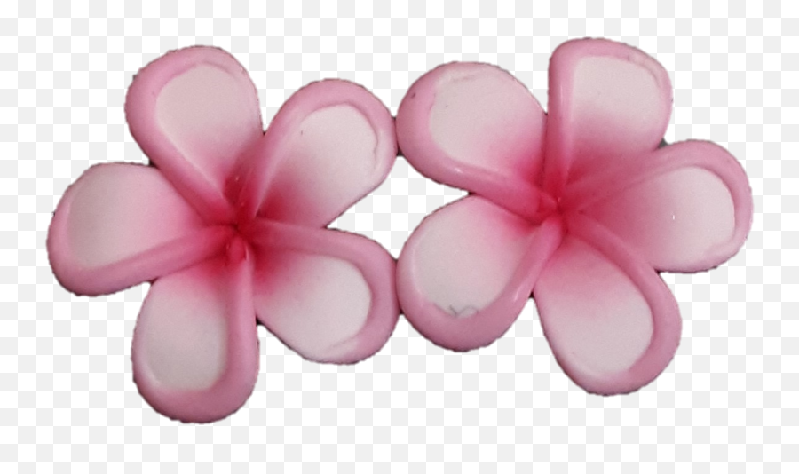 Jb - Mini Pink Rimmed Plumeria Earrings Girly Png,Plumeria Png