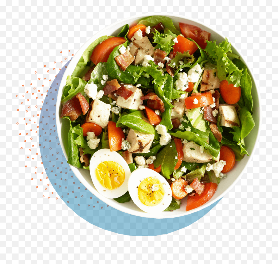 Salad Crave Discovery Gardens Dubai Official Website - Greek Salad Png,Salad Png