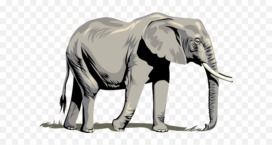 Download Roll Tide Kids - Elephant Clipart Full Size Png Elephant Vector,Roll Tide Png