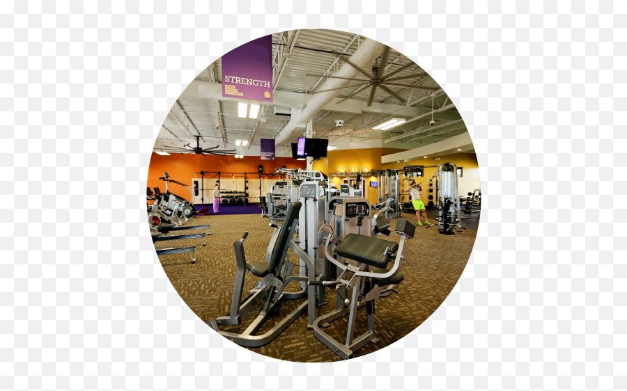 Rancho Del Mar - Anytime Fitness Auburn Hills Png,Anytime Fitness Logo Transparent