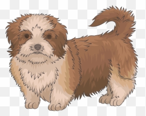 Shih Tzu Clipart - Shih Tzu Brown Clipart Png,Shih Tzu Png