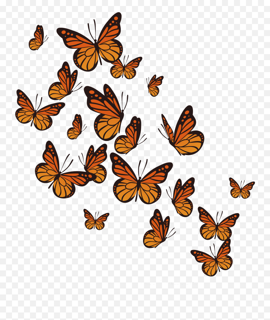 Flying Butterflies Png Vector Butterfly Icon Image Girly
