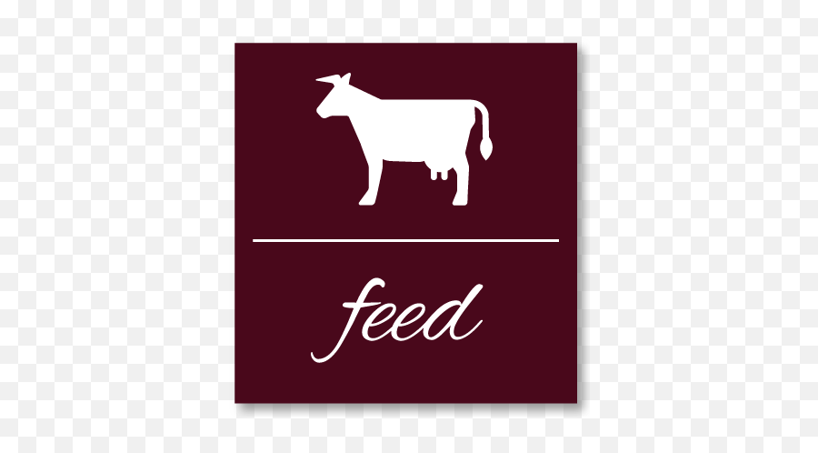 Land Run Farmers Cooperative - Ok Homepage Language Png,Coop Icon