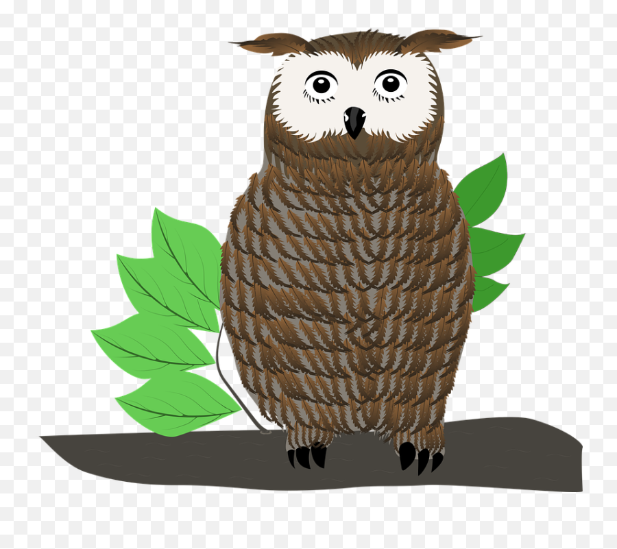 Animal Owl Icon - Soft Png,Free Owl Icon