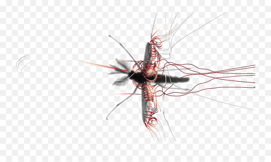 Mosquito Png Image Background Arts - Frequency Of Mosquito Wings,Mosquito Transparent