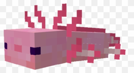 If You Had Any Mob In Minecraft As A Pet Not Including Dogs - Minecraft Axolotl Addon Png,Minecraft Pig Icon