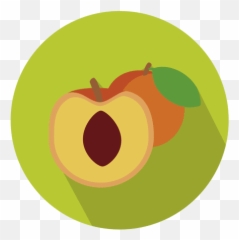 Apricot Logo Template Editable Design To Download - Fruit Icon Circle png