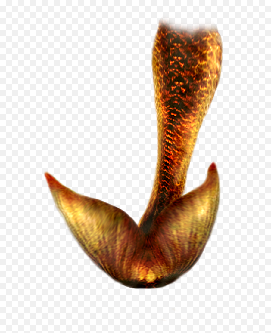 Mermaid Tails Png 4 Image - Mermaid Tail Photoshop Overlay,Tails Png