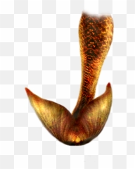 Mermaid Tails Png 4 Image - Photoshop Overlay