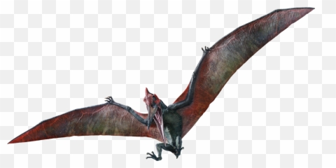 Pteranodon - Jurassic World Pteranodon Png,Pterodactyl Png
