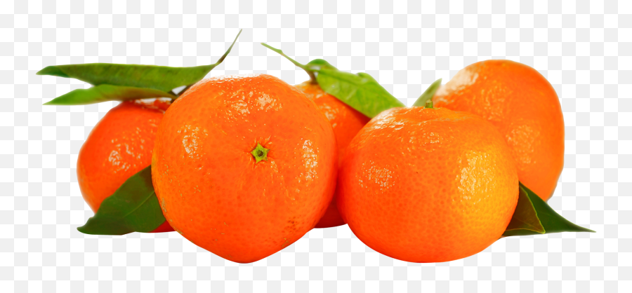 Orange Png Image