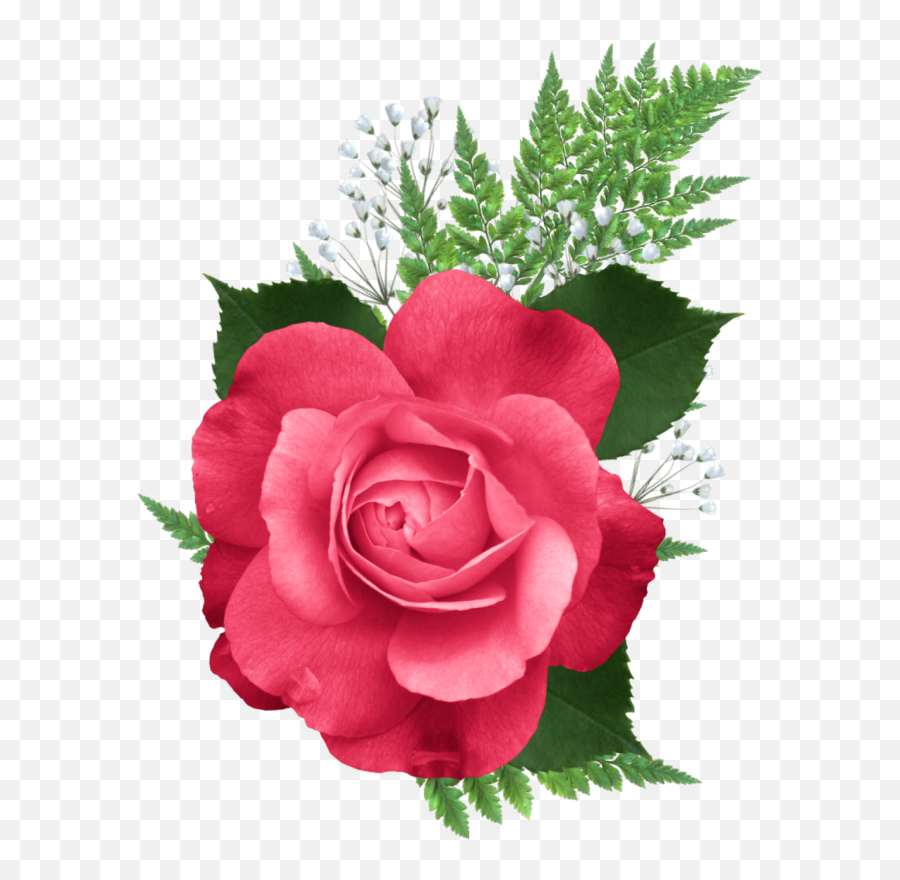 Httplh4ggphtcomxn5mgm3pt48tmuow28hdriaaaaaaaba0w - Rose Of Sharon Png,Flower Bed Png