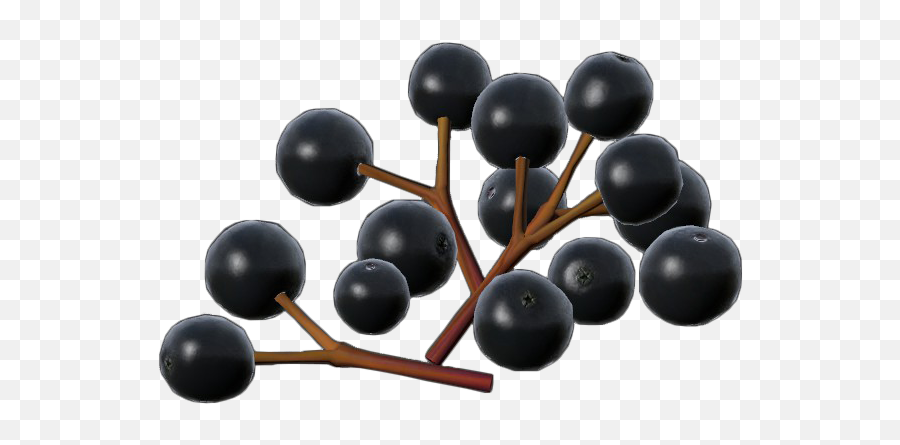 Elderberries - Dayz Wiki Poison Berries Transparent Png,Berries Png