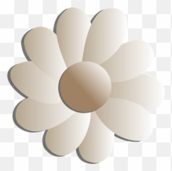 Flowers White Floral - Black And png