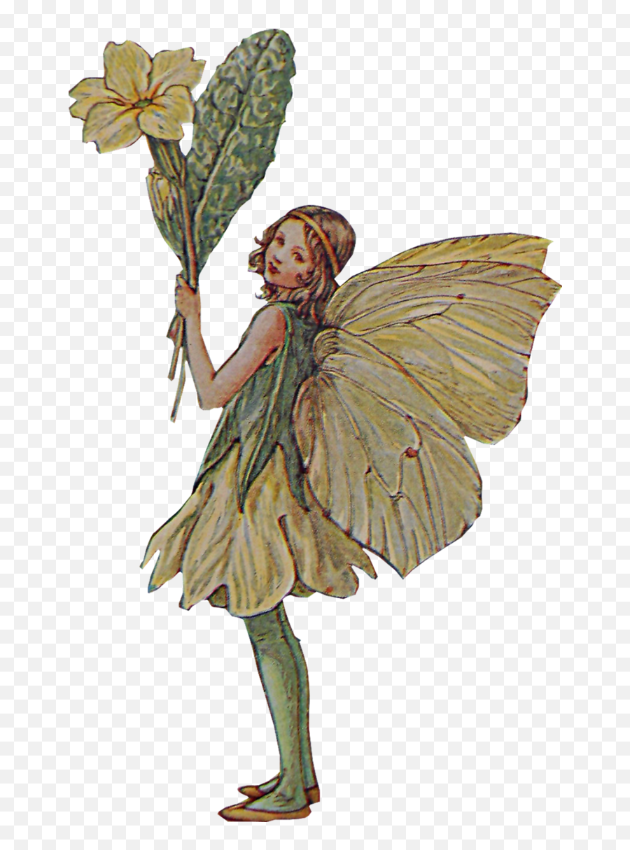 Flower Fairies Pixie - Fairy Pictures To Print Png,Fairy Transparent Background