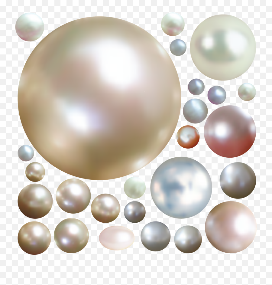 Clams With Pearls Clipart Transparent - Pearl Png,Pearls Transparent Background