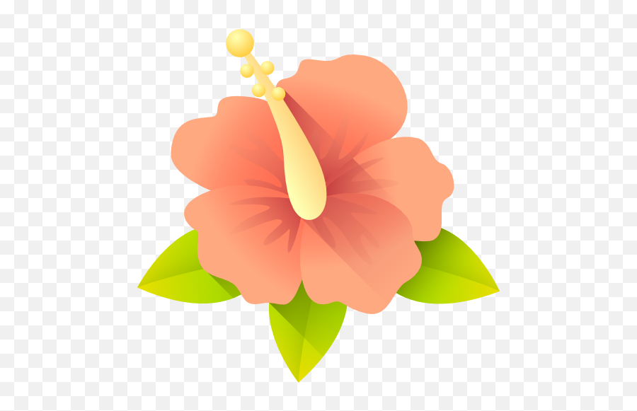 Hibiscus - Chinese Hibiscus Png,Hibiscus Png