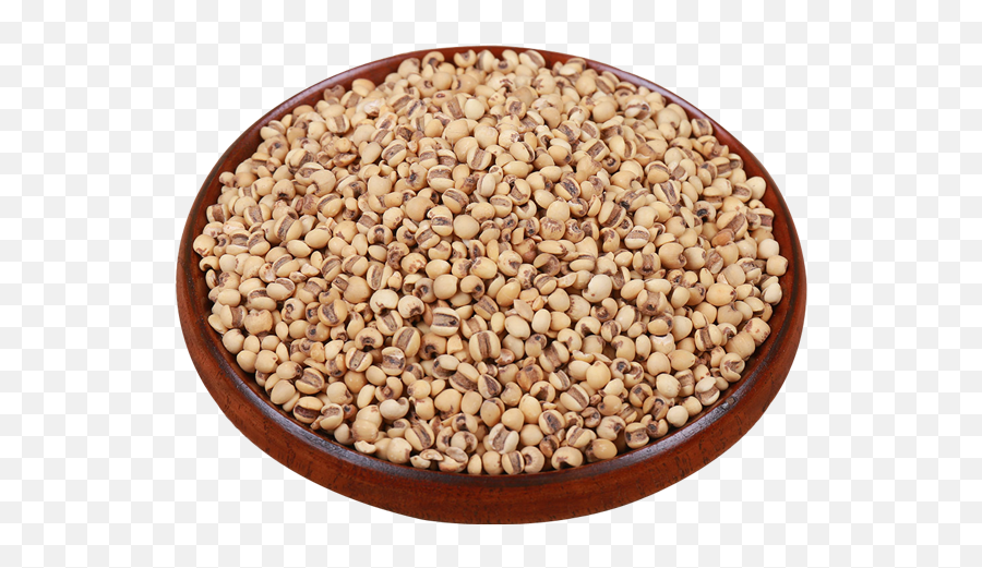 Barley Rice Grains Png Download - Barley,Barley Png