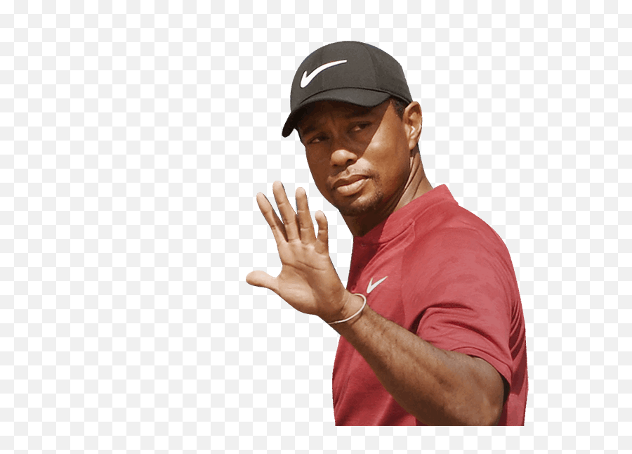 Player Profile For The 148th Open - Transparent Tiger Woods Png,Tiger Woods Png