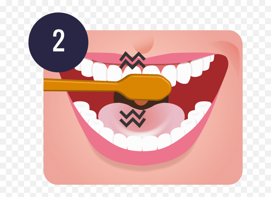 Download Free Brushing Teeth Png Clipart Tooth - Brush Your Teeth Png,Teeth Png