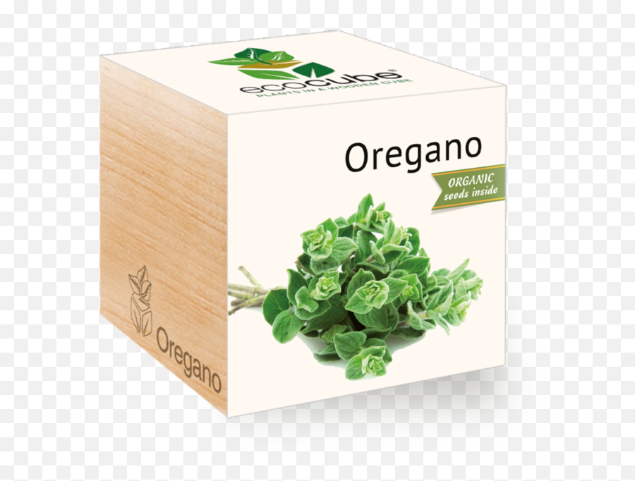 Grow Kit - Oregano Eco Cube Mint In A Cube Png,Oregano Png