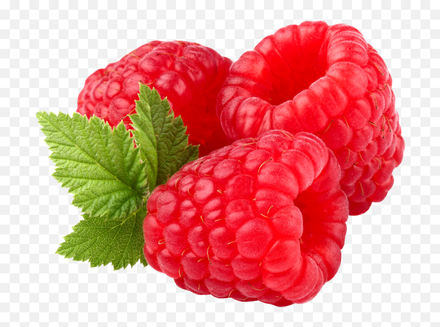 Iqf U2014 Red Oak Foods - Raspberry Health Benefits Png,Raspberry Png
