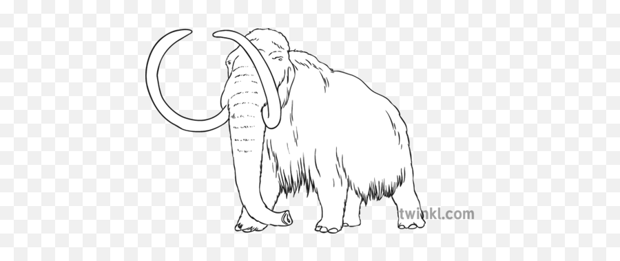 Wooly Mammoth Black And White Illustration - Twinkl Woolly Mammoth Colouring Pages Png,Mammoth Png