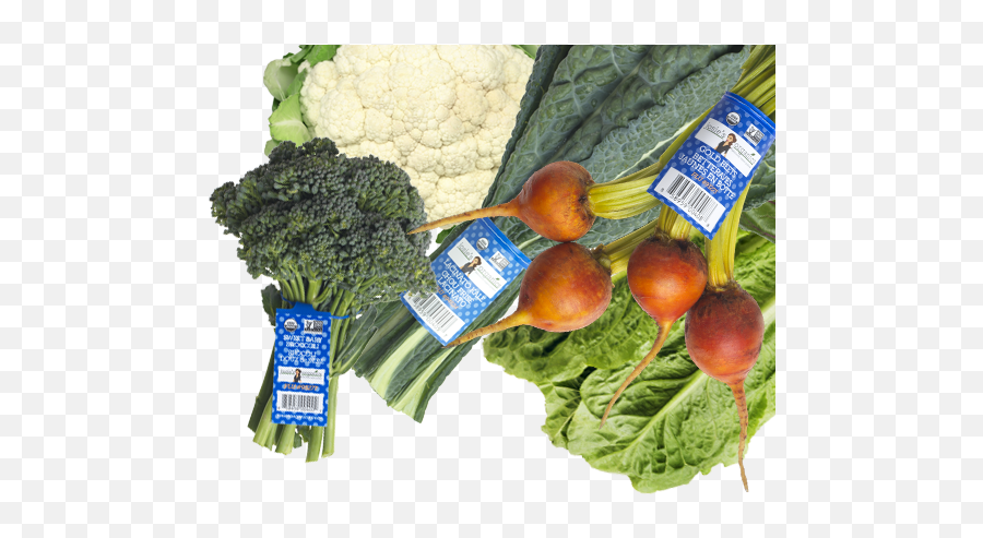 Whole Veggies Archive - Josieu0027s Organics Superfood Png,Vegetables Transparent