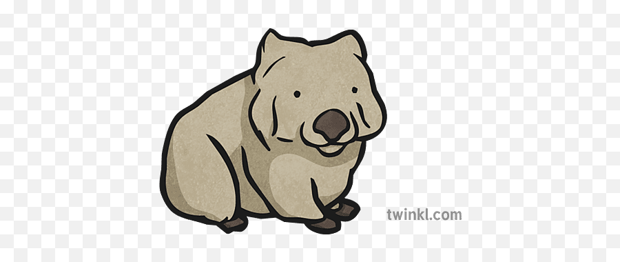 Wombat Zoo Map Icon Illustration - Language Png,Wombat Icon