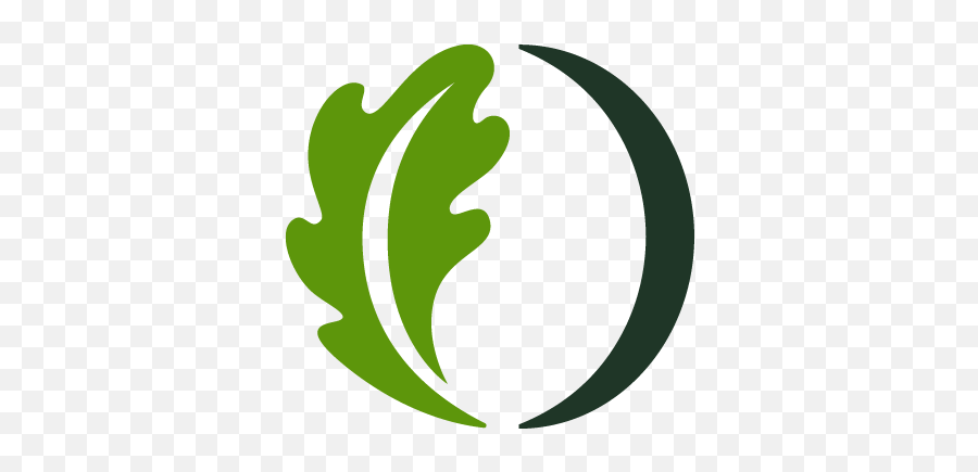 Full - Colorologo Oak Point University Oak Point University Logo Png,Oak Icon