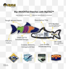 Retail With Ripfish U2013 - Fish png