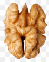 Walnuts Transparent Png - Walnut Png,Walnut Transparent