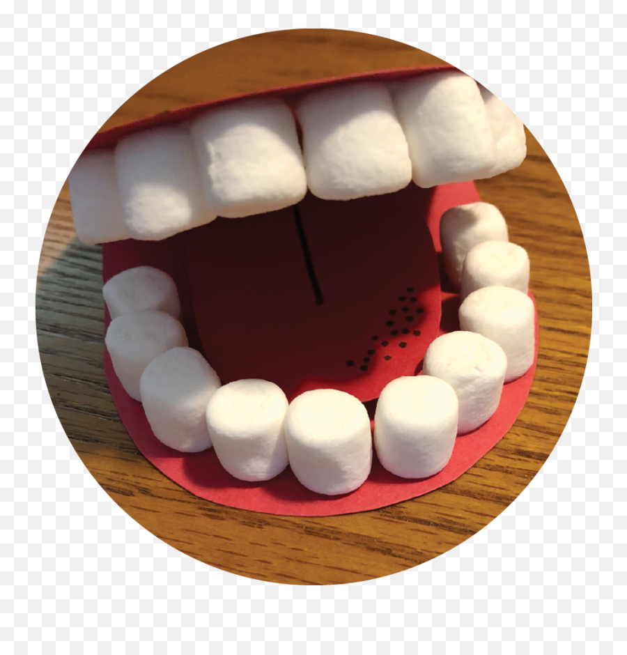 Americau0027s Toothfairy - 30 Fun Ways To Teach Kids About Oral Dentures Png,Vampire Teeth Icon