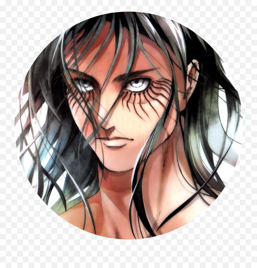 Concept Of Freedom - The Yeagerist Rtheyeagerist Fictional Character Png,Eren Jaeger Icon