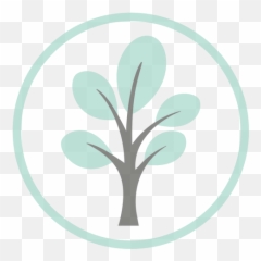 Preschool U2014 Tuckston United Methodist Church - Tree With 5 Branches Clip Art png