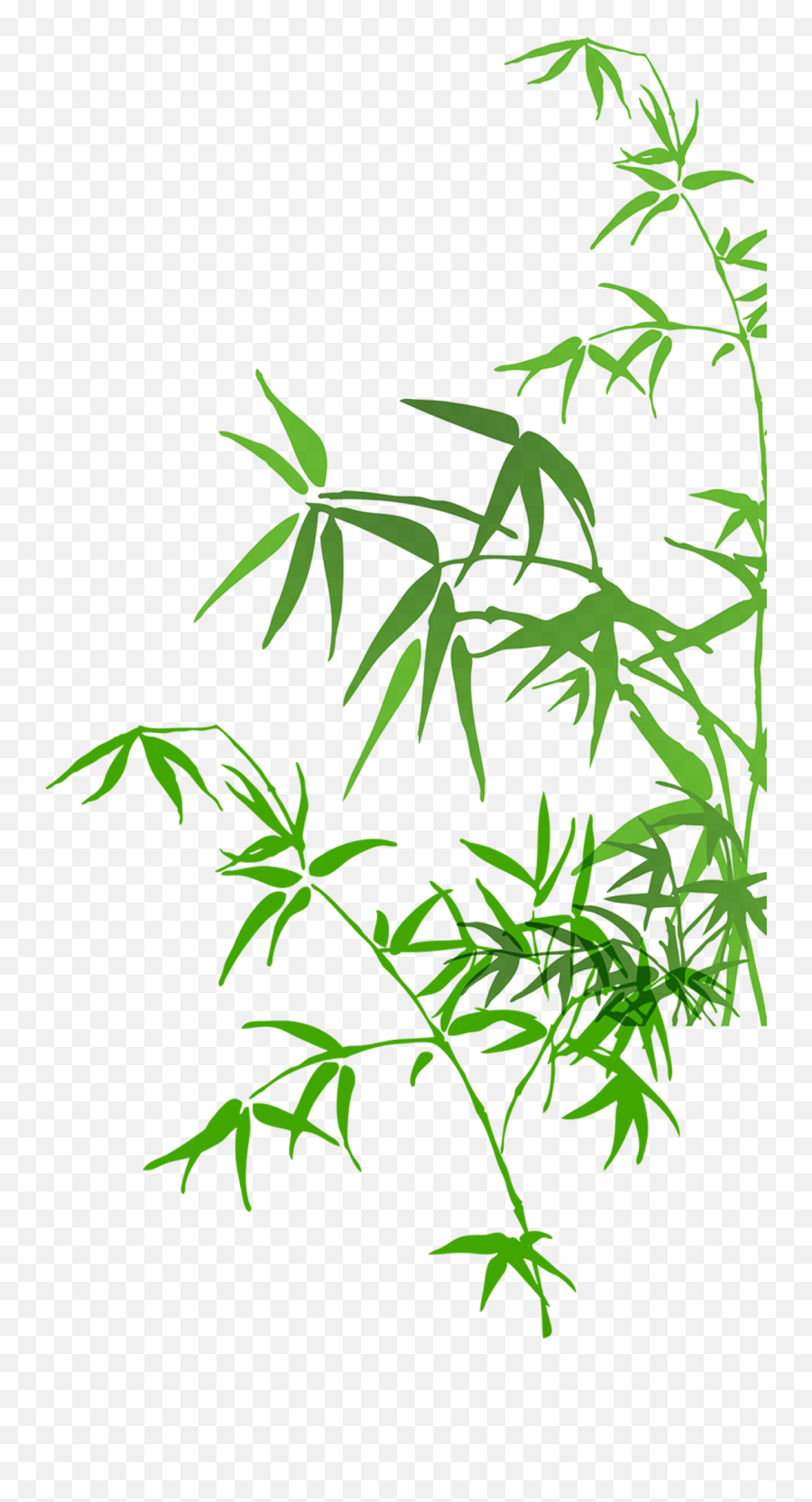 Bamboo Painting Png File Hd Clipart - Bamboo Painting Png,Bamboo Leaves Png