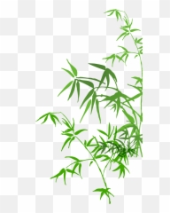 Bamboo Painting Png File Hd Clipart - Bamboo Painting Png,Bamboo Leaves Png